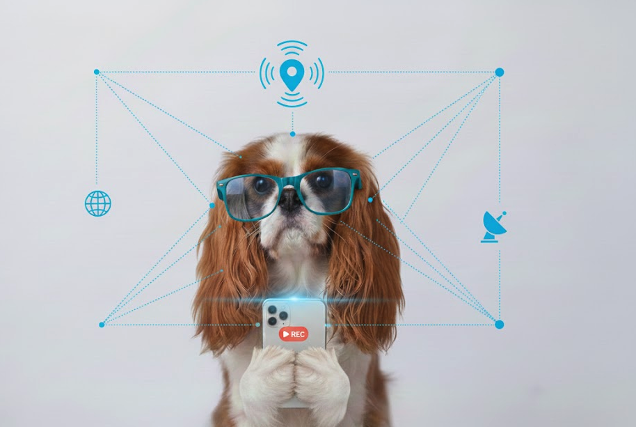 Mapa de geolocalización